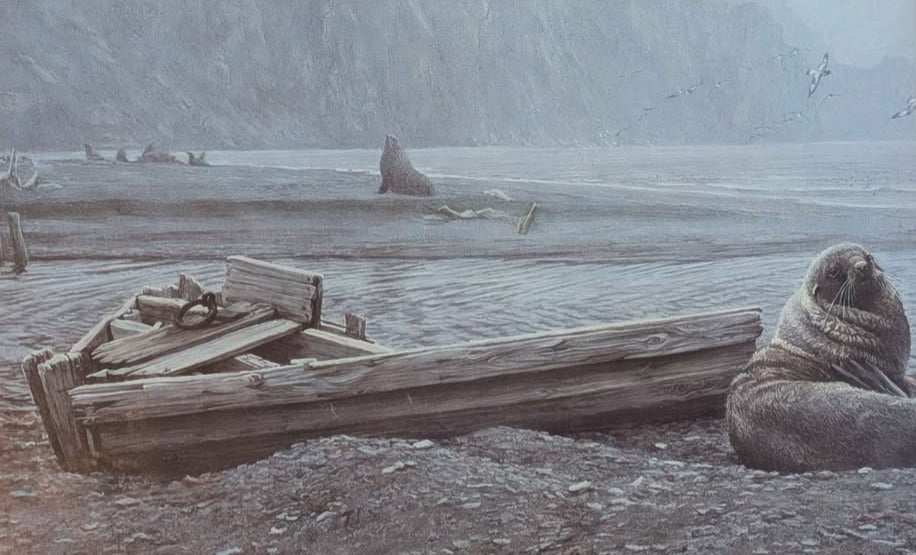 Robert Bateman Vintage Print, Seals at the Shore - Canadian Artist