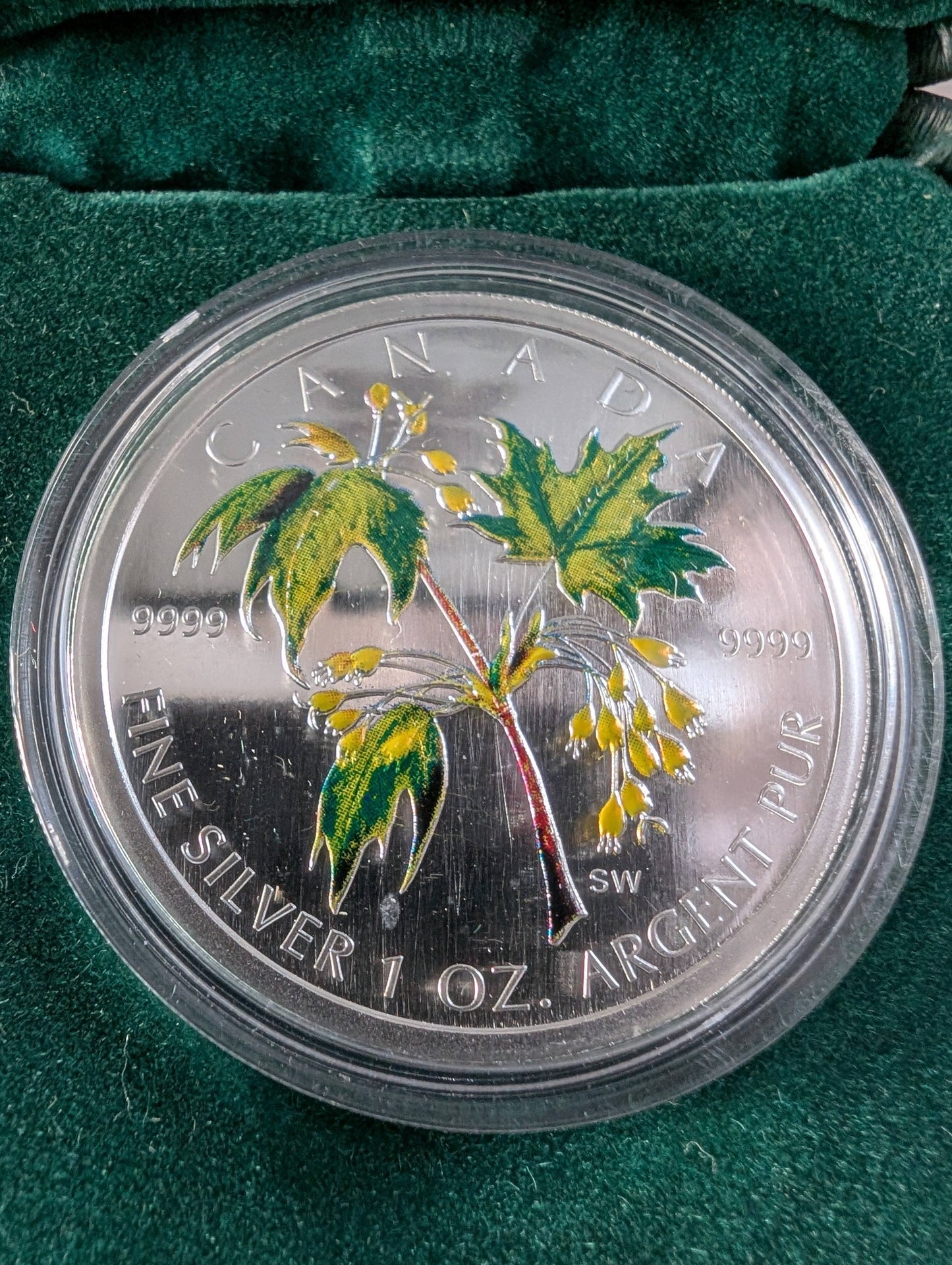 Silver Maple Leaf Coloured Coin (2003) in Case with COA