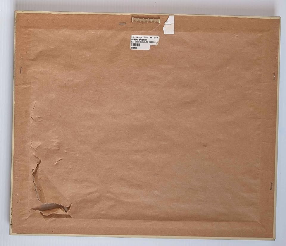 Robert Bateman, "Royal Family, Mute Swans" Print in Gallery Frame - Canadian Art