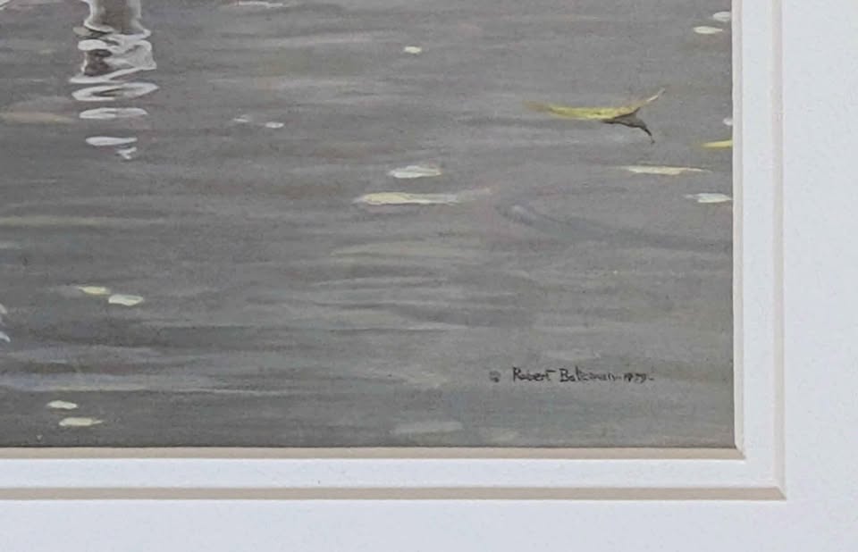 Robert Bateman, "Royal Family, Mute Swans" Print in Gallery Frame - Canadian Art