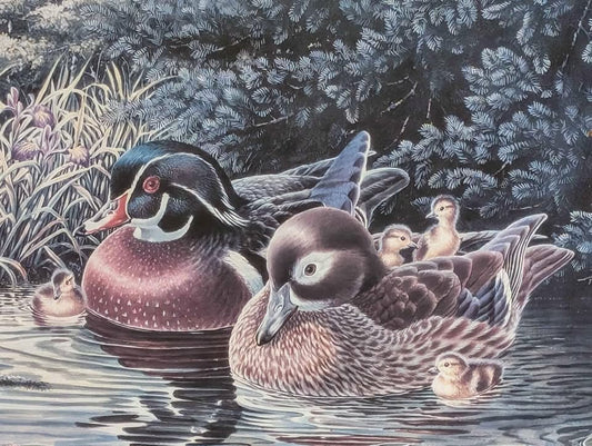 Christine Wilson, Limited Edition Print