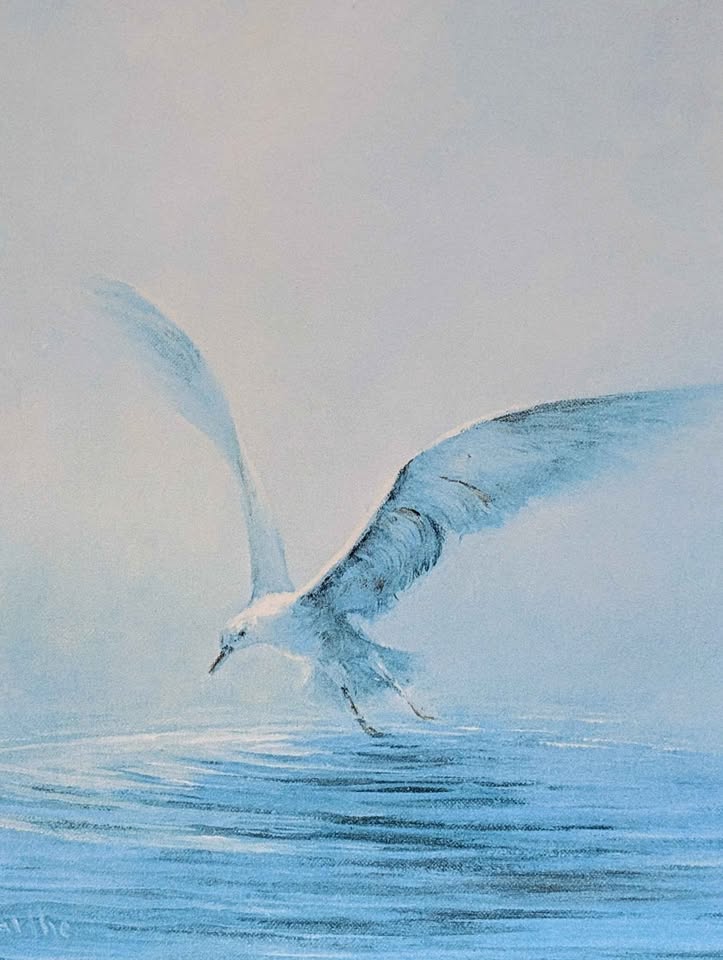 "Lone Gull" William Degarthe Signed Seascape Lithograph