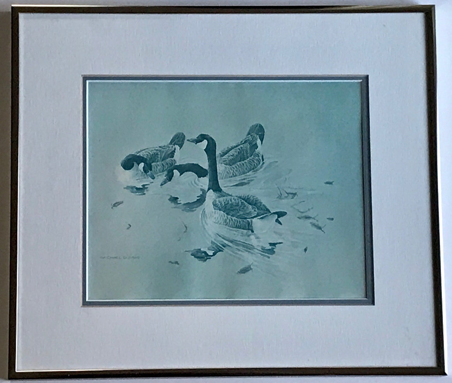 Framed Art Print of Canada Geece