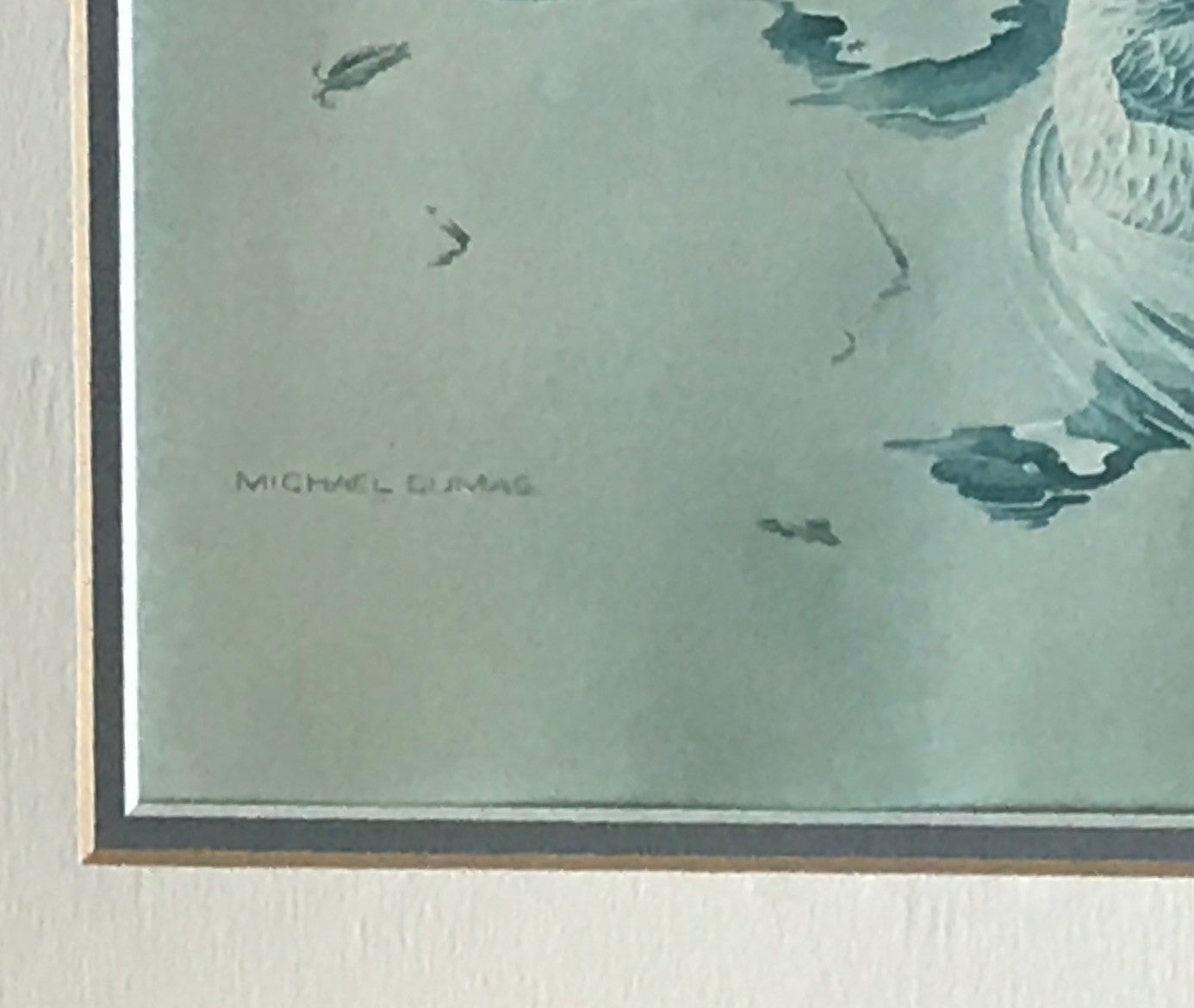 Framed Art Print of Canada Geece