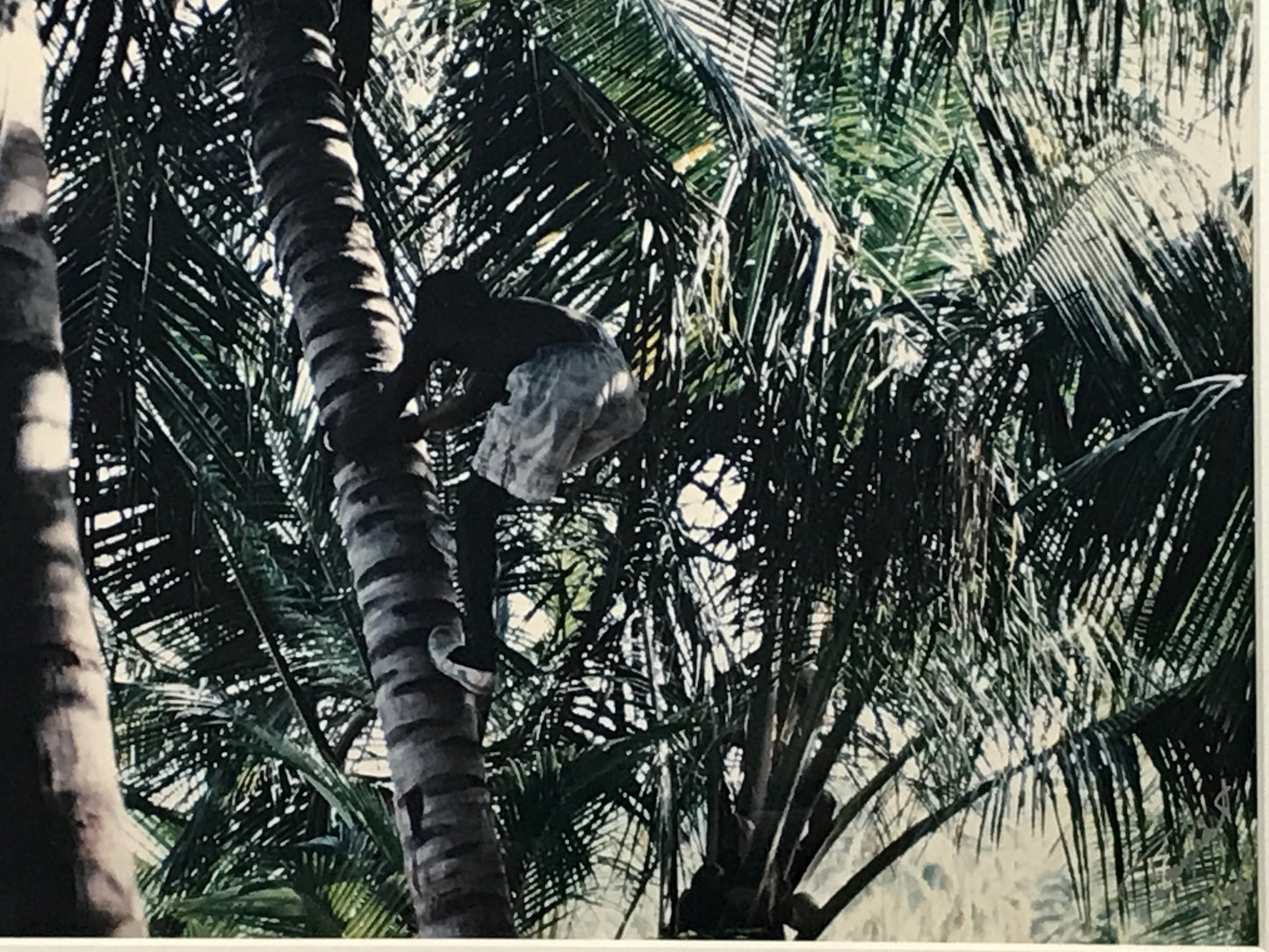 Ian Grant, Framed Limited Edition Photograph