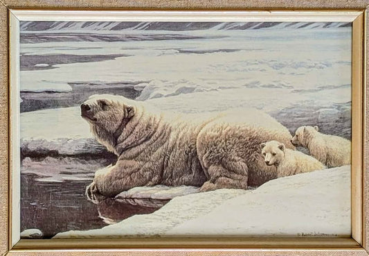Robert Bateman Vintage Art Print of Polar Bear Family - Canadian Artist